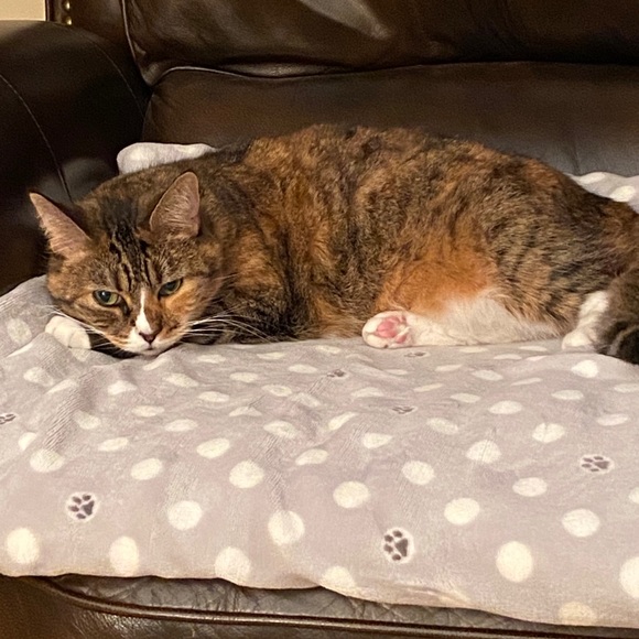 Meet your Posher, MaryKay - Picture 1 of 1